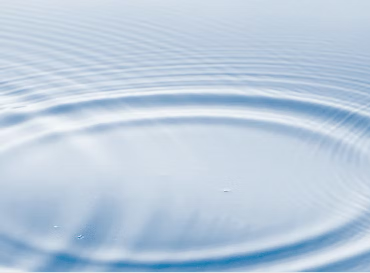 Women's Wellness Circle July 30, 2025: Evidence-Based Calm