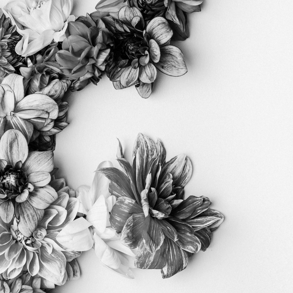 Sistacircle April 15, 2025: Disappeared Women In Canada