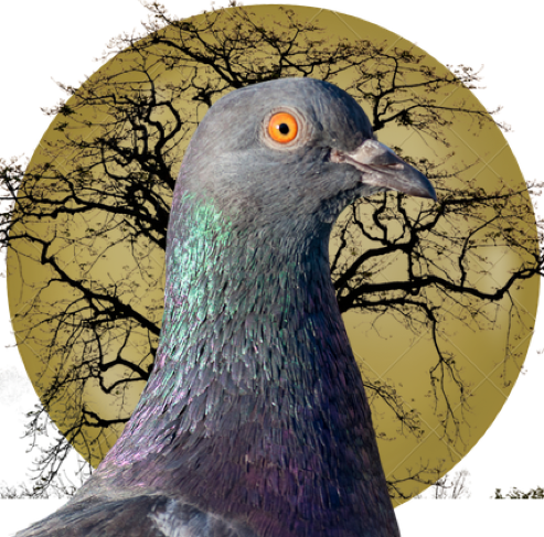 Sistacircle June 3, 2025: Liberal Feminism vs Anti-feminism